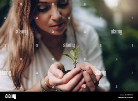 Young Plant In Hand Hi Res Stock Photography And Images Alamy