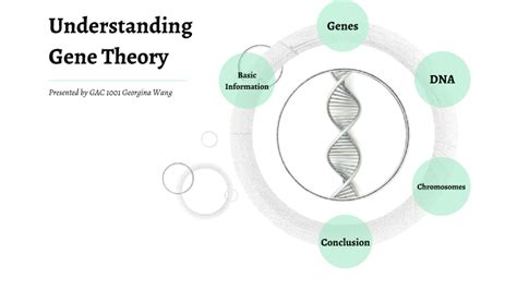 Gene Theory by georgina wang