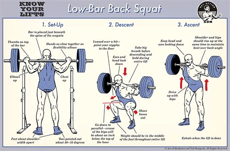The Squat What Are The Benefits Ft Fitness