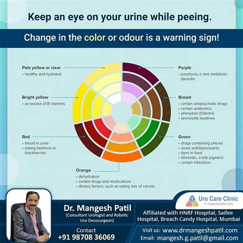 Liver Damage Urine Color - Infoupdate.org