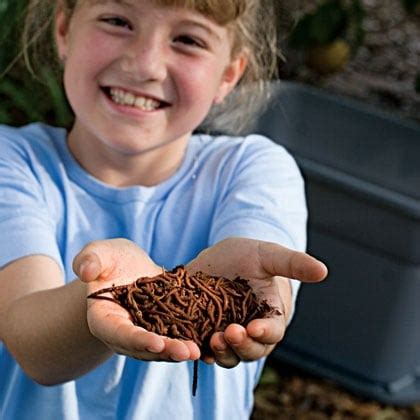 Worm Kits | Uncle Jim's Worm Farm