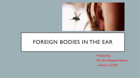 Foreign Bodies In The Ear Ppt