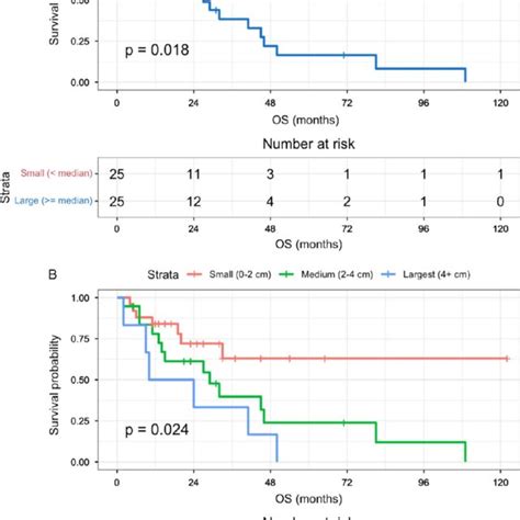 Os By Tumor Size A Kaplan Meier Survival Curves By Median Tumor