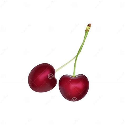 Cherry Realistic 3d Vector Ripe Red Cherry Berries Detailed 3d