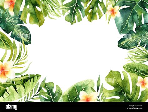 Hand drawn watercolor tropical plants background. Exotic palm leaves ...