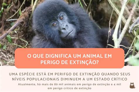 Animais Em Perigo De Extinção Definição Classificação E Exemplos