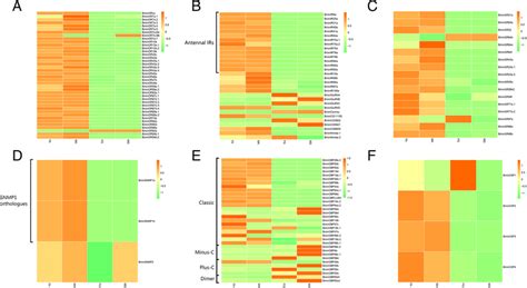 Tissue And Sex Specific Expression Profiles Of Chemosensory Genes In