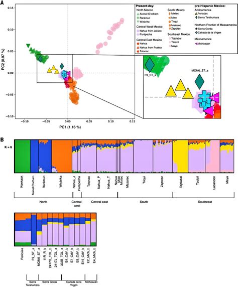 Stone Age Herbalist On Twitter Mesoamerican Genetics Remained Split