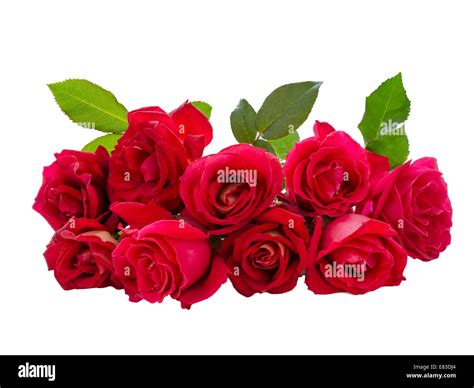 Bouquet of Red Rose Stock Photo - Alamy