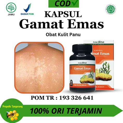 Jual Kapsul Gamat Emas Asli Original Obat Kulit Panu Kulit Eksim