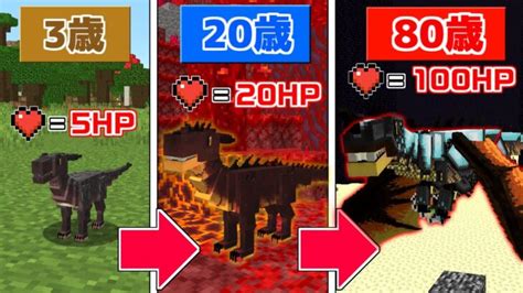 【マインクラフト】だんだん『ドラゴン』が歳をとる世界でサバイバルしたらラスボスを超えた！？ Minecraft Summary マイクラ動画