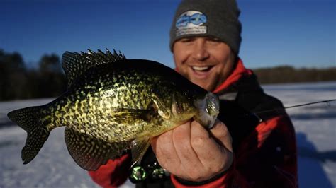 Early Ice Crappies Wisconsin Ice Fishing YouTube