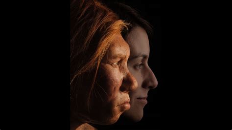 'More Neanderthal than human': How your health may depend on DNA from our long-lost ancestors ...