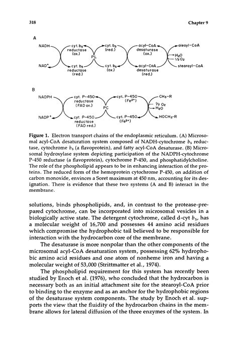 Carbon Monoxide Electron Transport Chain Big Chemical Encyclopedia