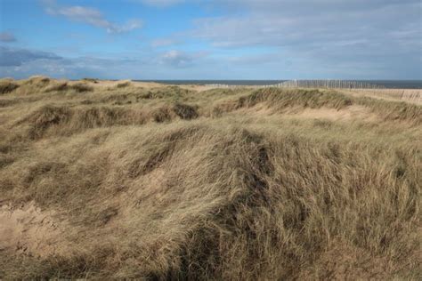 Developing Sand Dunes In Holkham Bay Hugh Venables Geograph