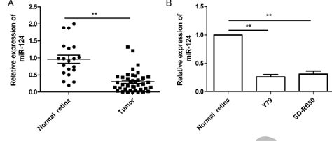 Figure From Mir Inhibits Proliferation And Invasion Of Human