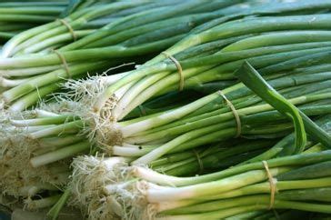 Green shallots