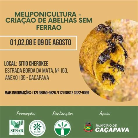 Meliponicultura Cria O De Abelhas Sem Ferr O Beeinfo