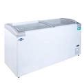 Rockwell GFR550ICGT Curved Glass Green Deep Freezer Capacity 550 L In