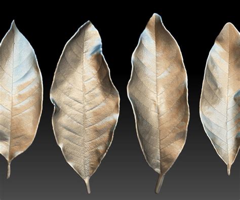 Artstation Leaf 3d Model Leaf Brush Zbrush Brush 3d Printed Leaves