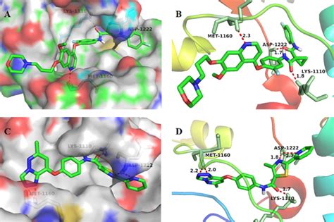 Docking mode of Foretinib and compound 12e. (A, B) Binding model of ...