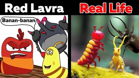 Red Larva Oi Oi Oi Vs Ole Ole Ole Vs Banh Banh Real Life Youtube