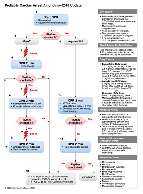 View Malignant Hyperthermia Treatment Algorithm Png Bbc Fans