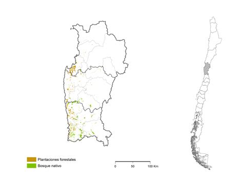 Información Regional