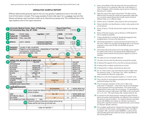 Urinalysis Sample Report With Notes 0 FLG 221 Urinalysis Sample