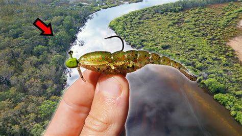 Fishing Prawn Lures For Whatever Bites YouTube