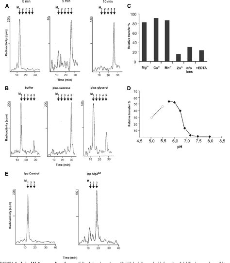 Figure From Biochemical Characterization And Membrane Topology Of