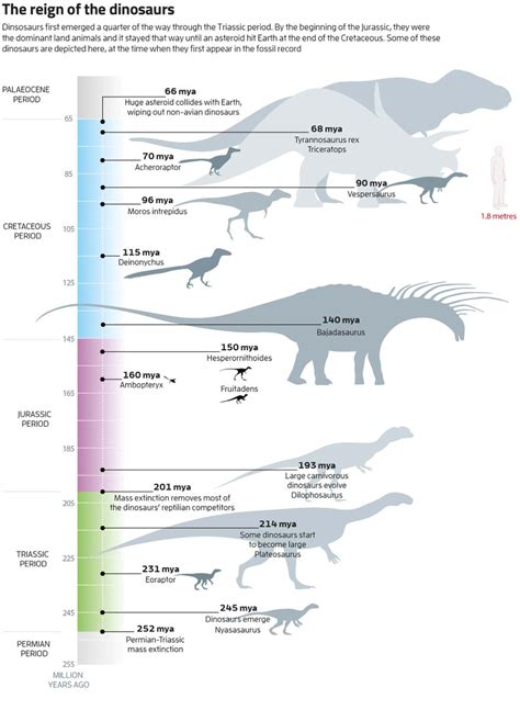 Dinosaurs Extinction Infographic Diagram Showing Paleozoic 53 OFF