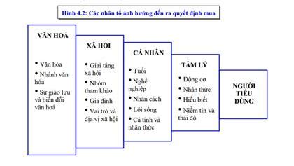 Chia sẻ 79 về mô hình nghiên cứu quyết định mua hàng mới nhất coedo