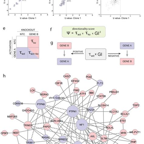 The Orthogonal Crispr System A Schematic Of The Orthogonal System On