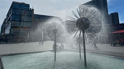 Pusteblumen Wasser Stopp Antenne Sachsen