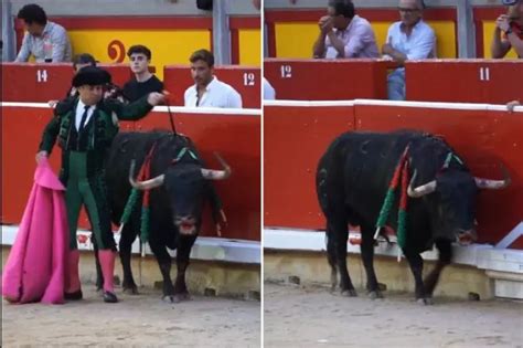 La Cruel Muerte De Un Toro En San Ferm N Reaviva Las Cr Ticas A La