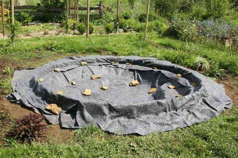 Créer une mare naturelle dans son jardin Conseils