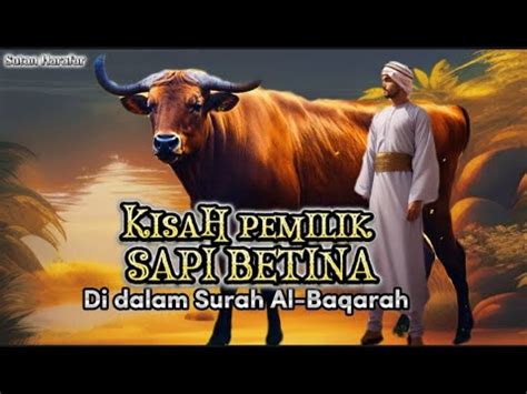 Kisah Sapi Betina Dalam Surah Al Baqarah Kisah Alquran Youtube