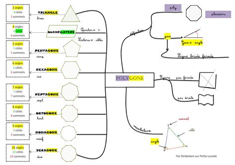 Les polygones Carte mentale Schéma heuristique Outils pour les maths