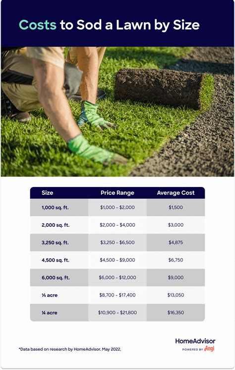 Cost Of Laying Garden Turf Fasci Garden