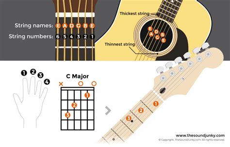 Parts Of A Guitar Including String Labels Fret Numbering And More