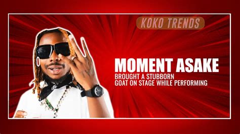 Moment Asake Brought A Stubborn Goat On Stage While Performing Youtube