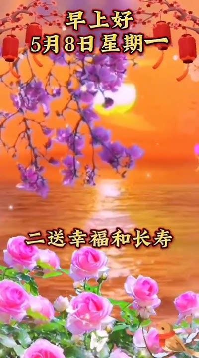 今天是5月8日星期一，早上好，農曆三月十九送祝福 早安問候 祝福 接福 分享視頻🥰🥰🍫🍫💖💖🍎🍎 🌹🌹 Youtube