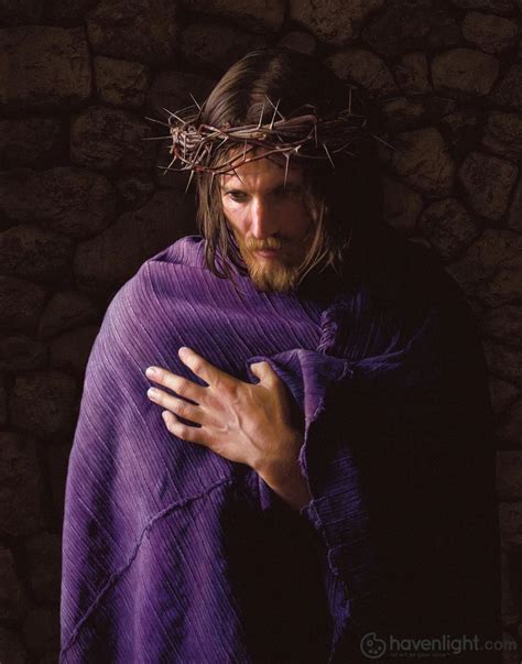 Behold The Man By Chris Young Jesus Christ With Crown Of Thorns Purple Robe Stone Wall In