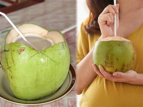 दररोज नारळ पाणी प्या अन् वजन कमी करा कसं ते जाणून घ्या Coconut Water