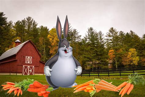 Big Chungus by gyilfykufgyuk on DeviantArt