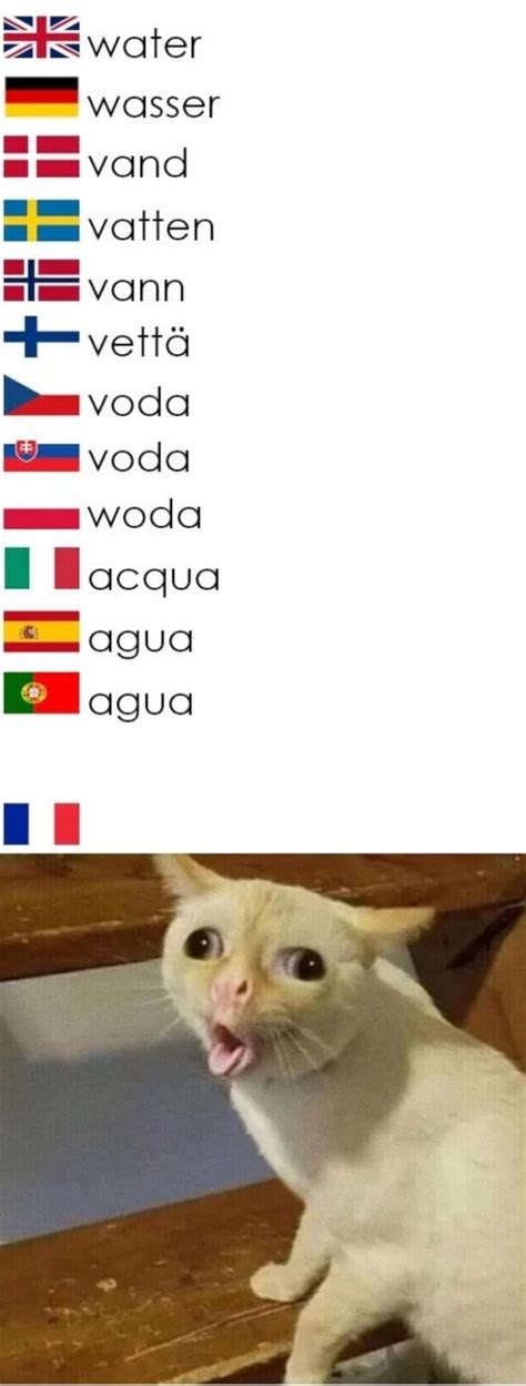 Top memes de Idiomas en español Memedroid