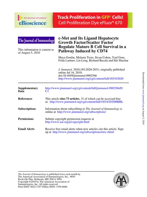 Pdf C Met And Its Ligand Hepatocyte Growth Factorscatter Factor