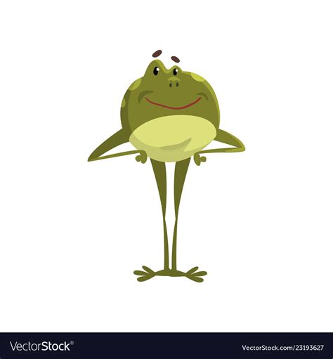 Green frog amfibian animal cartoon character Vector Image