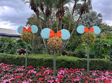 Orange Bird Ears Added To Minnie Mouse Topiaries At EPCOT Flower